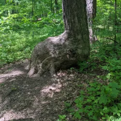 Pike Lake State Park - West Bend