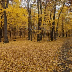 Pike Lake State Park - West Bend