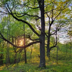 Pike Lake State Park - West Bend