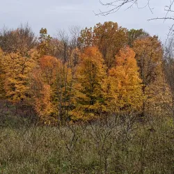 Pike Lake State Park - West Bend
