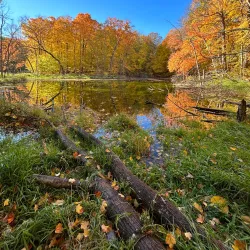 Pike Lake State Park - West Bend