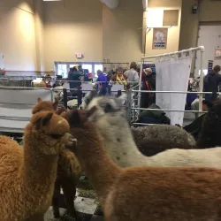 The Washington County Fair Park - West Bend