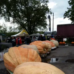 Riverside Park - Wisconsin Rapids