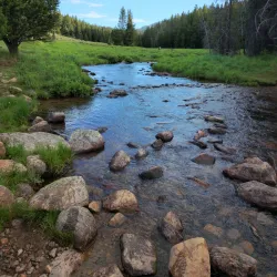Bighorn National Forest - Basin
