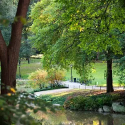 Shell Falls Scenic Area - Basin