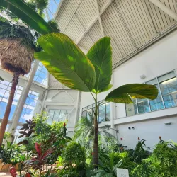 Cheyenne Botanic Gardens - Cheyenne