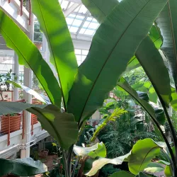 Cheyenne Botanic Gardens - Cheyenne