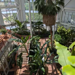 Lions Park - Cheyenne