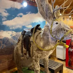 Terry Bison Ranch - Cheyenne