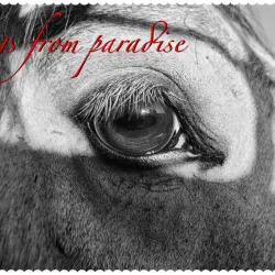 Terry Bison Ranch - Cheyenne