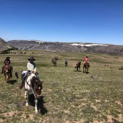 Horseback Riding Tours - Dubois