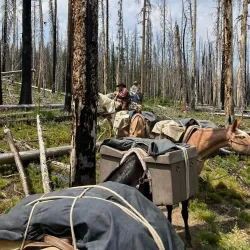 Horseback Riding Tours - Dubois
