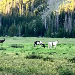 Horseback Riding Tours - Dubois