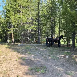 Horseback Riding Tours - Dubois