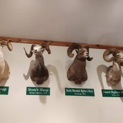 National Bighorn Sheep Interpretive Center - Dubois