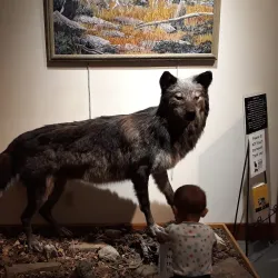 National Bighorn Sheep Interpretive Center - Dubois