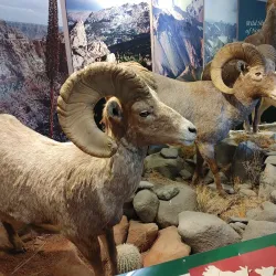 National Bighorn Sheep Interpretive Center - Dubois