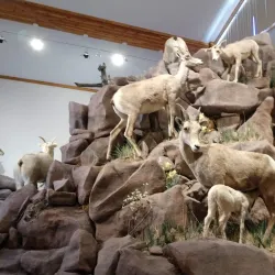 National Bighorn Sheep Interpretive Center - Dubois