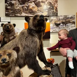 National Bighorn Sheep Interpretive Center - Dubois