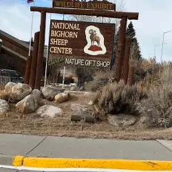 National Bighorn Sheep Interpretive Center - Dubois