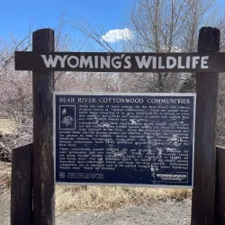 Bear River Greenway - Evanston