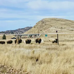 Bear River State Park - Evanston