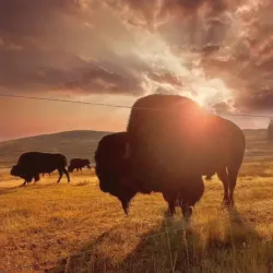 Wyoming State Line Monument - Evanston