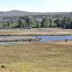 Wyoming State Line Monument - Evanston