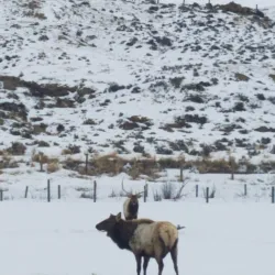 Wyoming State Line Monument - Evanston