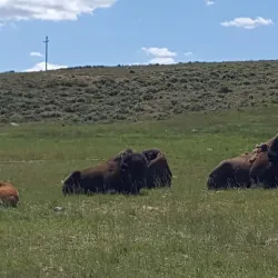 Wyoming State Line Monument - Evanston