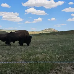 Wyoming State Line Monument - Evanston