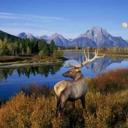 Grand Teton National Park - Jackson