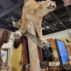 Jackson Hole Historical Society and Museum - Jackson