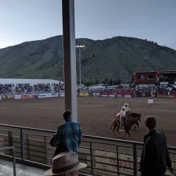 Jackson Hole Rodeo - Jackson