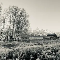 Mormon Row Historic District - Jackson