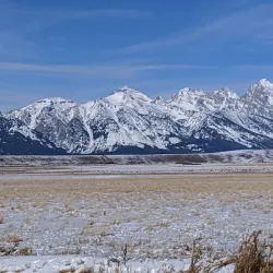 National Elk Refuge - Jackson
