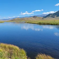 National Elk Refuge - Jackson