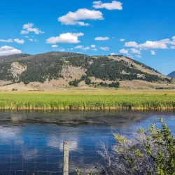National Elk Refuge - Jackson