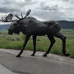 National Museum of Wildlife Art - Jackson