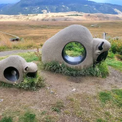 National Museum of Wildlife Art - Jackson