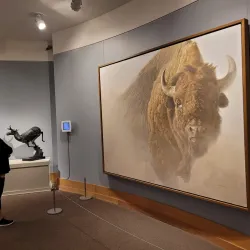 National Museum of Wildlife Art - Jackson