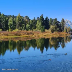 Oxbow Bend - Jackson
