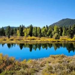 Oxbow Bend - Jackson