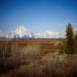 Oxbow Bend - Jackson