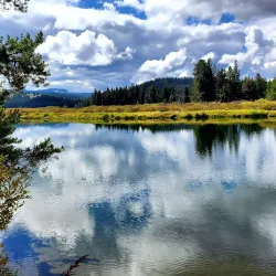 Oxbow Bend - Jackson