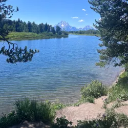 Oxbow Bend - Jackson