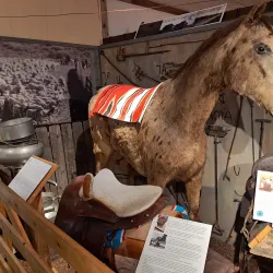 Fremont County Pioneer Museum - Lander