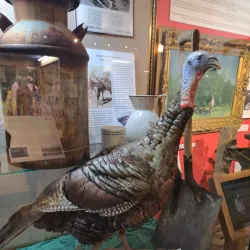 Fremont County Pioneer Museum - Lander
