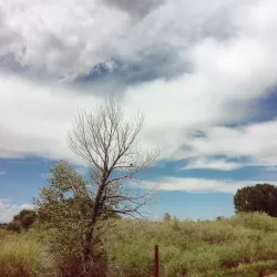 Laramie River Greenbelt - Laramie