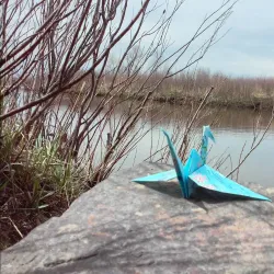 Laramie River Greenbelt - Laramie